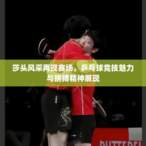 莎頭風(fēng)采再現(xiàn)賽場(chǎng)，乒乓球競(jìng)技魅力與拼搏精神展現(xiàn)