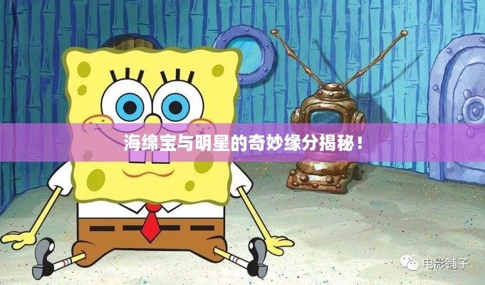 海綿寶與明星的奇妙緣分揭秘！
