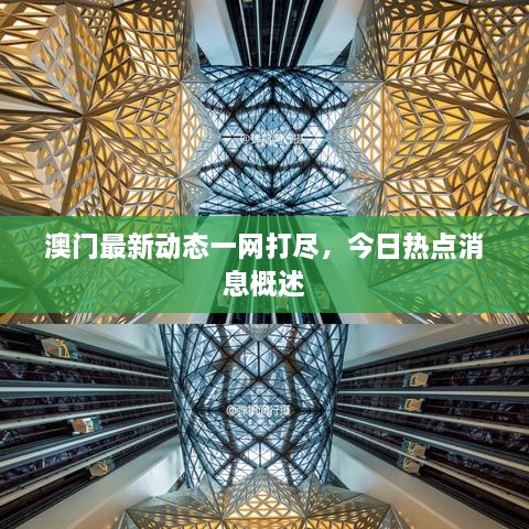 澳門最新動態(tài)一網(wǎng)打盡，今日熱點(diǎn)消息概述