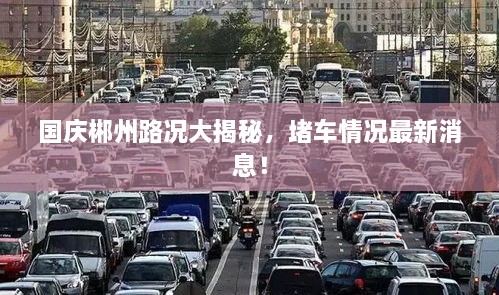 國慶郴州路況大揭秘，堵車情況最新消息！