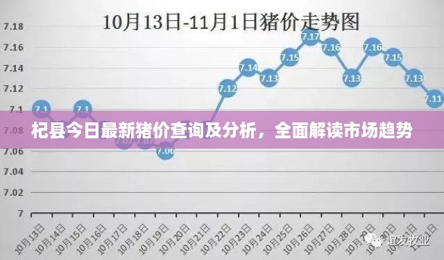 杞縣今日最新豬價查詢及分析，全面解讀市場趨勢