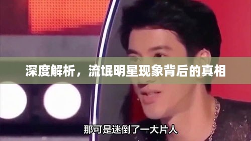 深度解析，流氓明星現(xiàn)象背后的真相