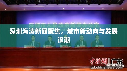深圳海濤新聞聚焦，城市新動(dòng)向與發(fā)展浪潮