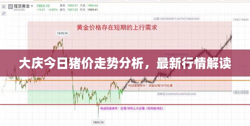 大慶今日豬價(jià)走勢(shì)分析，最新行情解讀