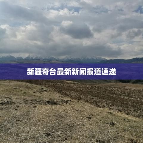 新疆奇臺最新新聞報(bào)道速遞