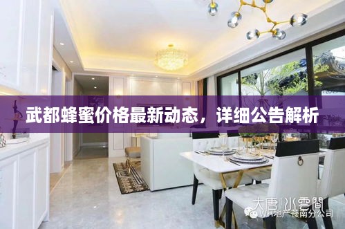 武都蜂蜜價(jià)格最新動(dòng)態(tài)，詳細(xì)公告解析
