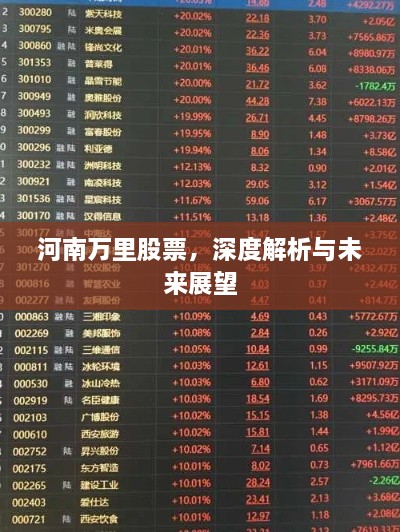 河南萬里股票，深度解析與未來展望