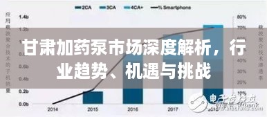甘肅加藥泵市場深度解析，行業(yè)趨勢、機遇與挑戰(zhàn)