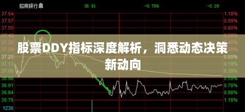 股票DDY指標(biāo)深度解析，洞悉動(dòng)態(tài)決策新動(dòng)向