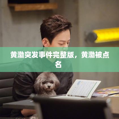 黃渤突發(fā)事件完整版，黃渤被點名 