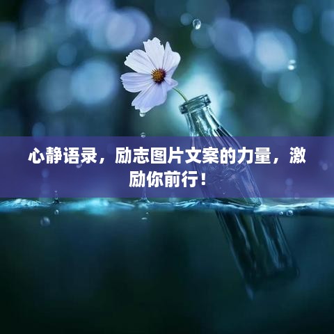 心靜語錄，勵志圖片文案的力量，激勵你前行！
