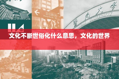 文化不斷世俗化什么意思，文化的世界 