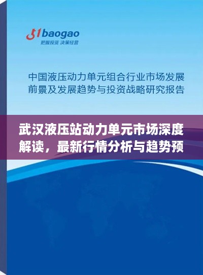 武漢液壓站動力單元市場深度解讀，最新行情分析與趨勢預(yù)測