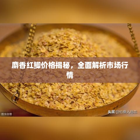 麝香紅鯽價格揭秘，全面解析市場行情