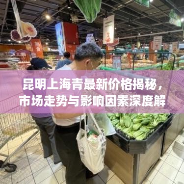 昆明上海青最新價(jià)格揭秘，市場(chǎng)走勢(shì)與影響因素深度解析