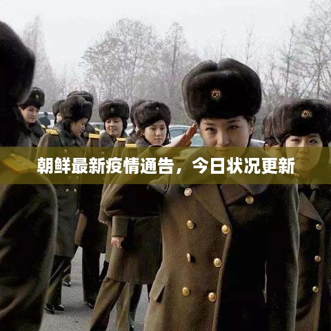 朝鮮最新疫情通告，今日狀況更新