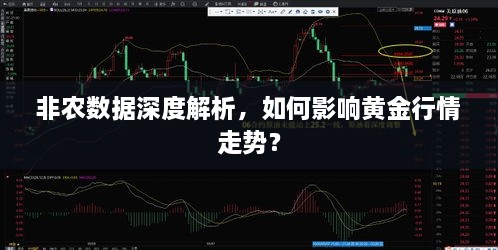 非農(nóng)數(shù)據(jù)深度解析，如何影響黃金行情走勢(shì)？