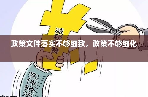 政策文件落實(shí)不夠細(xì)致，政策不夠細(xì)化 