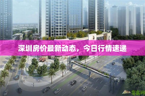 深圳房價(jià)最新動(dòng)態(tài)，今日行情速遞