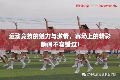運(yùn)動(dòng)競技的魅力與激情，賽場上的精彩瞬間不容錯(cuò)過！