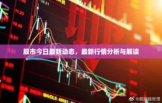 股市今日最新動態(tài)，最新行情分析與解讀
