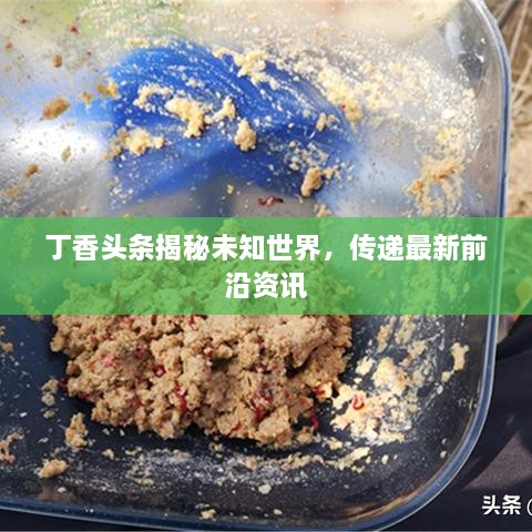 丁香頭條揭秘未知世界，傳遞最新前沿資訊