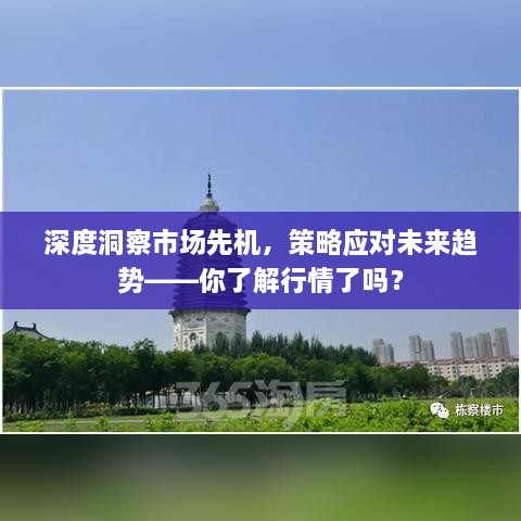 深度洞察市場先機(jī)，策略應(yīng)對未來趨勢——你了解行情了嗎？