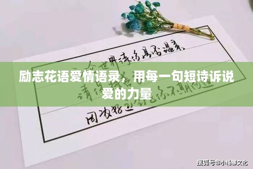 勵志花語愛情語錄，用每一句短詩訴說愛的力量