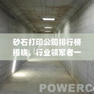 砂石打印公司排行榜揭曉，行業(yè)領軍者一覽