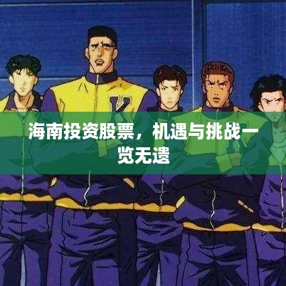海南投資股票，機(jī)遇與挑戰(zhàn)一覽無(wú)遺