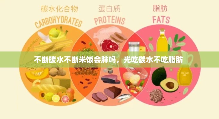 不斷碳水不斷米飯會(huì)胖嗎，光吃碳水不吃脂肪 