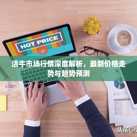 新聞動(dòng)態(tài) 第7頁