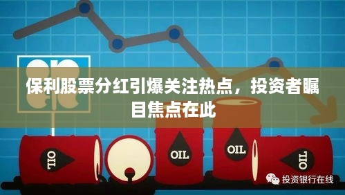 保利股票分紅引爆關(guān)注熱點，投資者矚目焦點在此