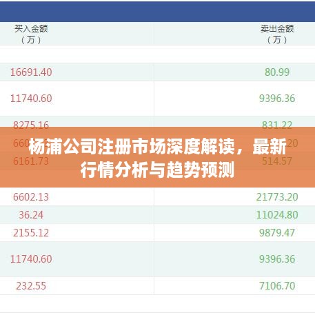 楊浦公司注冊市場深度解讀，最新行情分析與趨勢預(yù)測