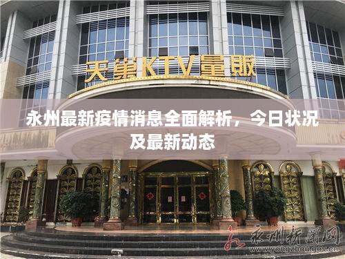 永州最新疫情消息全面解析，今日狀況及最新動(dòng)態(tài)