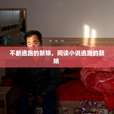 不斷逃跑的新娘，閱讀小說逃跑的新娘 