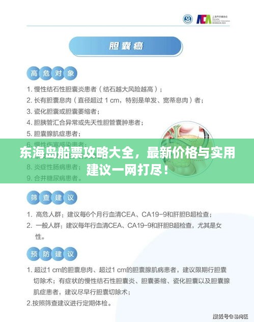 東海島船票攻略大全，最新價格與實用建議一網(wǎng)打盡！