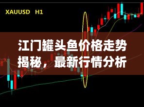 江門罐頭魚價(jià)格走勢(shì)揭秘，最新行情分析