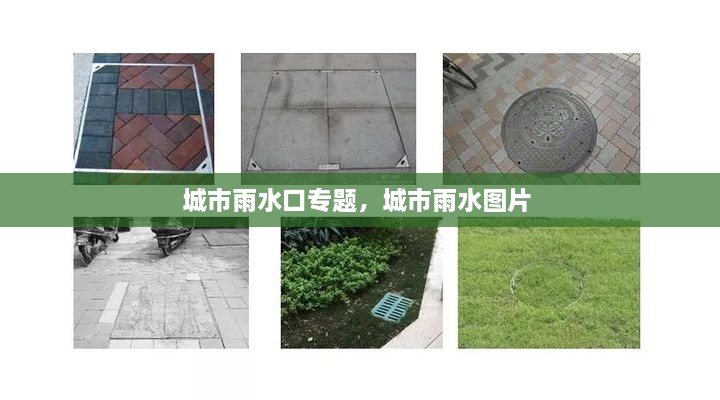 城市雨水口專(zhuān)題，城市雨水圖片 