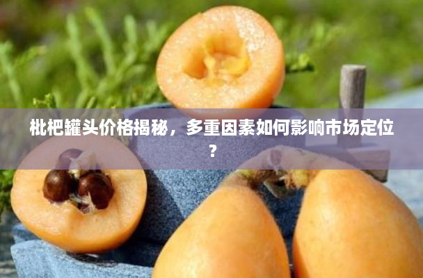 枇杷罐頭價(jià)格揭秘，多重因素如何影響市場(chǎng)定位？