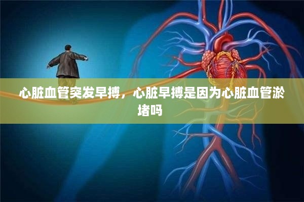 心臟血管突發(fā)早搏，心臟早搏是因?yàn)樾呐K血管淤堵嗎 