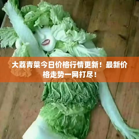 大荔青菜今日價(jià)格行情更新！最新價(jià)格走勢(shì)一網(wǎng)打盡！