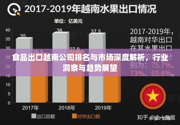 食品出口越南公司排名與市場深度解析，行業(yè)洞察與趨勢展望