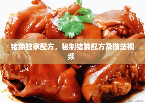 豬蹄獨(dú)家配方，秘制豬蹄配方及做法視頻 