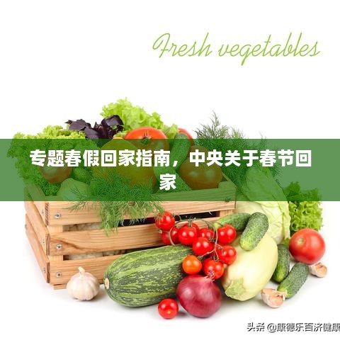 專題春假回家指南，中央關(guān)于春節(jié)回家 