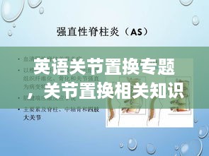 英語關(guān)節(jié)置換專題，關(guān)節(jié)置換相關(guān)知識(shí) 