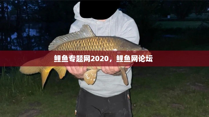 鯉魚(yú)專(zhuān)題網(wǎng)2020，鯉魚(yú)網(wǎng)論壇 