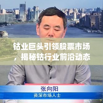 鈷業(yè)巨頭引領(lǐng)股票市場(chǎng)，揭秘鈷行業(yè)前沿動(dòng)態(tài)與未來(lái)趨勢(shì)