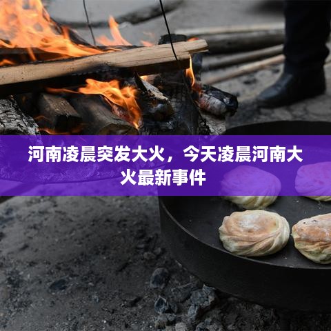 河南凌晨突發(fā)大火，今天凌晨河南大火最新事件 