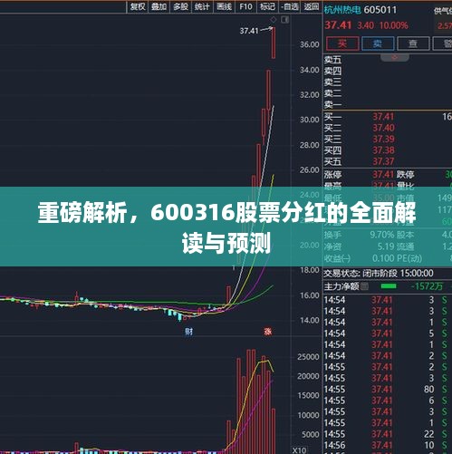 重磅解析，600316股票分紅的全面解讀與預測